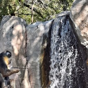 Wellness Shopping Club